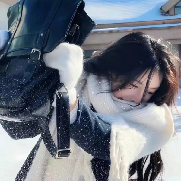 神秘的旅伴